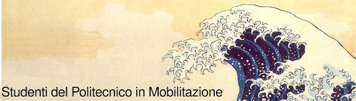 Studenti del Politecnico in mobilitazione