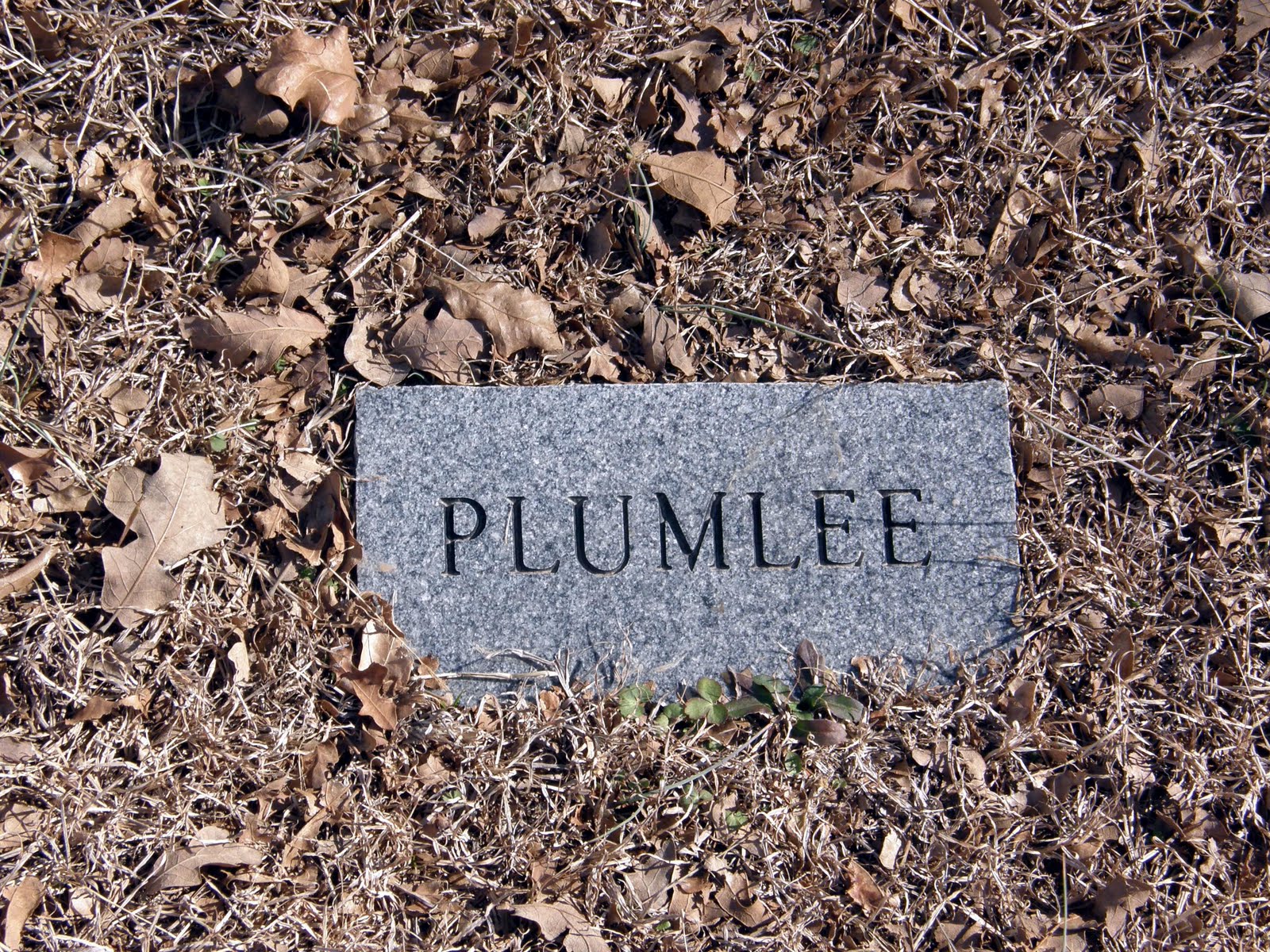[Plumlee-unidentified-gravemarker-bP1010078.jpg]