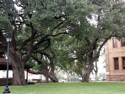 Llano County Texas Courthouse (3)2009