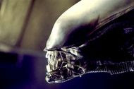 Alien (1979)