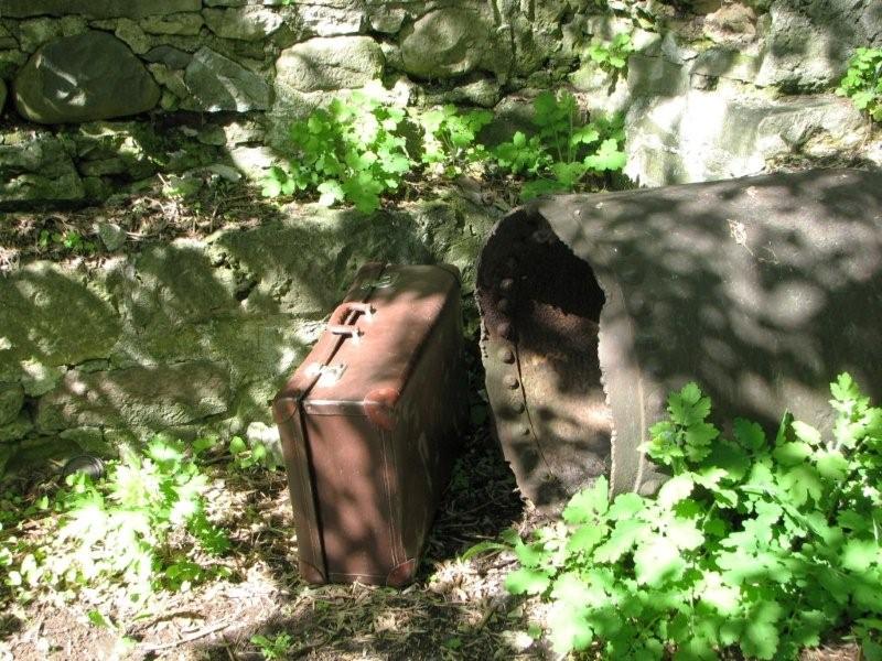 [suitcase+anyone.jpg]