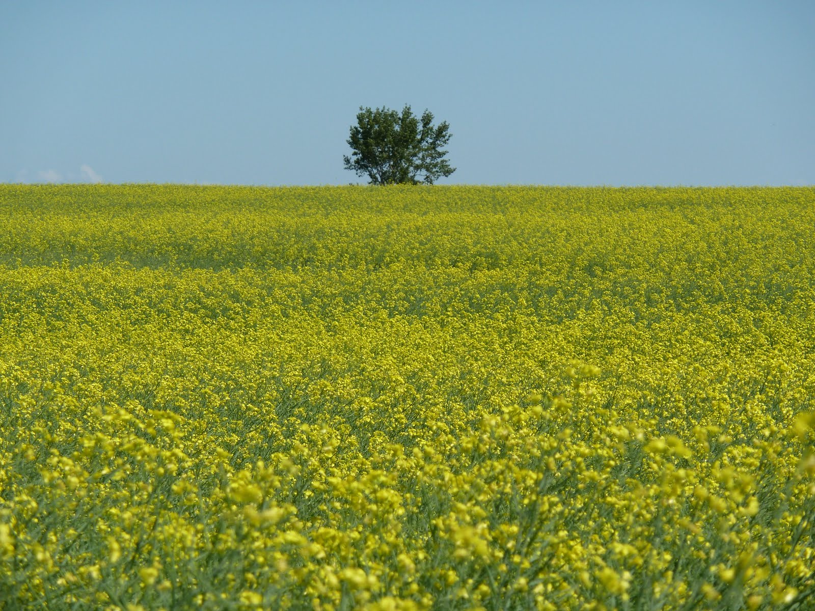 Farm Land Ontario