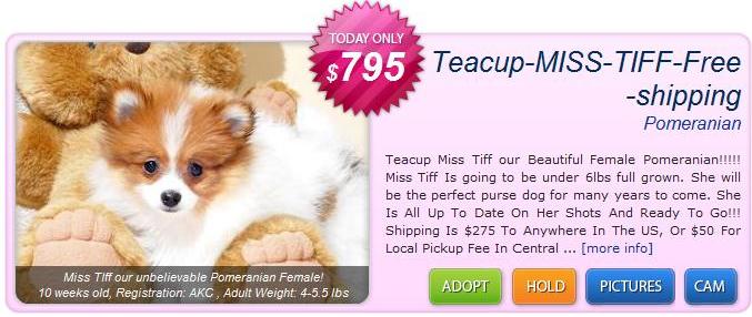 Teacup+dog+breeds+list