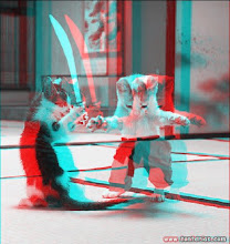 Gatos ninjas 3-d