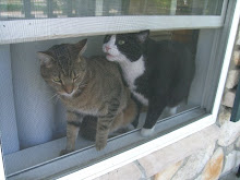 Benny and James