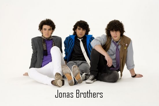 The jonas brothers
