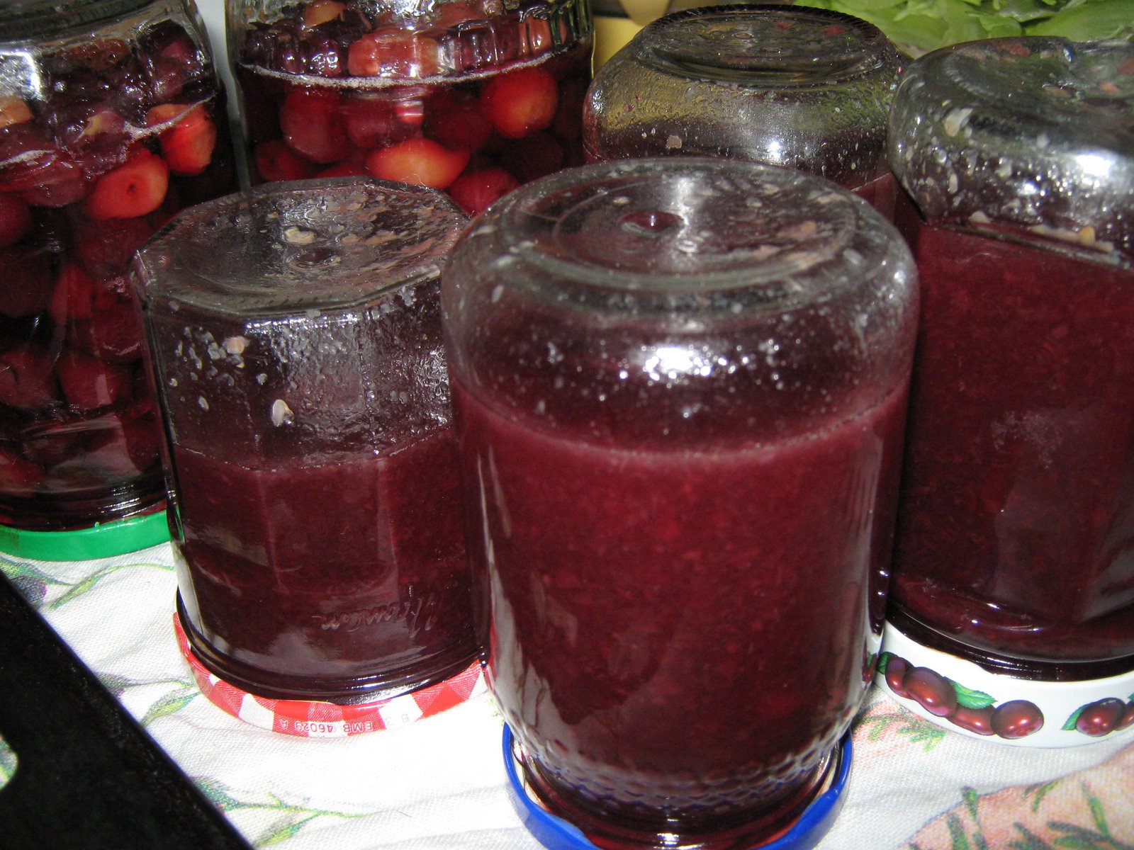 [20090701+003.JPG]
