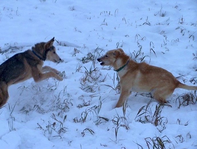 [HankandLester1.jpg]