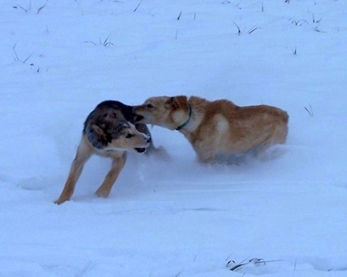 [HankandLester3.jpg]