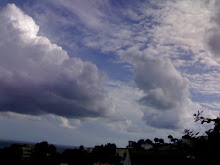 NUBES Y PINOS