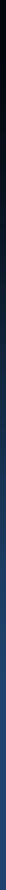 [bkg.gif]