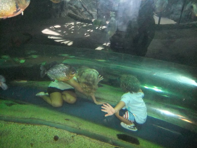Acuario De Houston