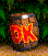 DK Barrel