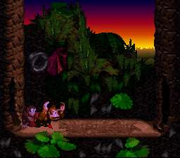 DKC Bonus Room 27