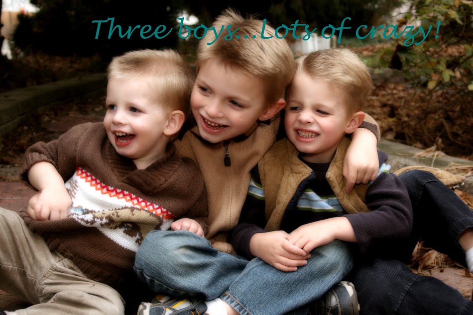 Three boys..lots of crazy!