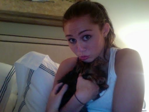 Miley Cyrus Twitter
