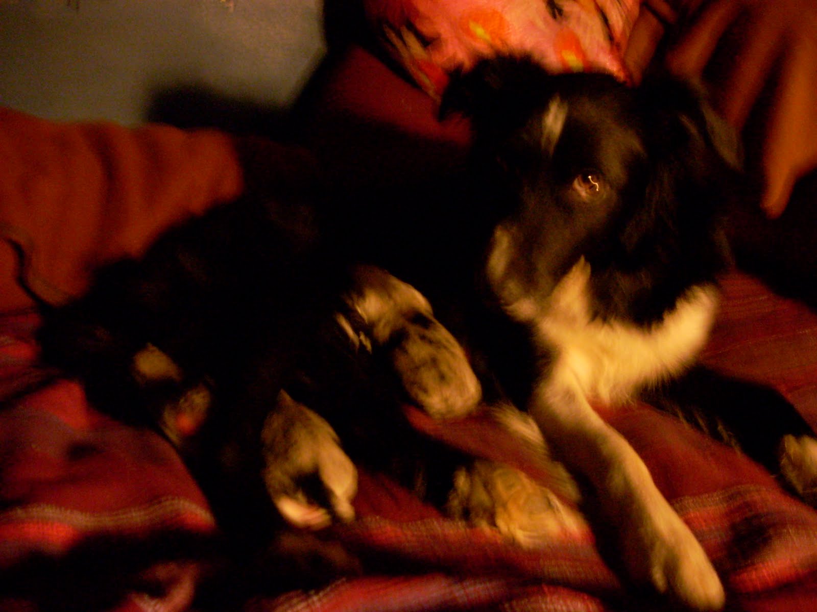 [bébes+18+02+10+001.jpg]