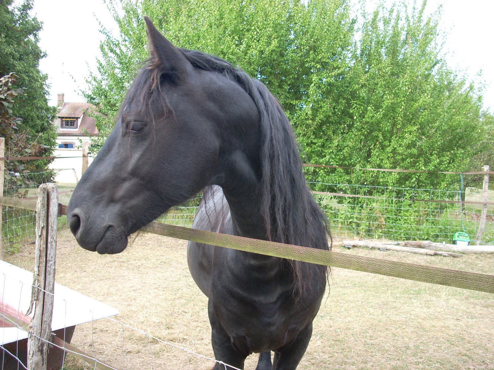 [Frison+vendredi+3+009.jpg]