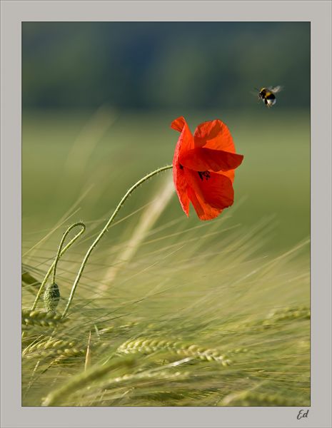 [51031_1244225251.jpg]