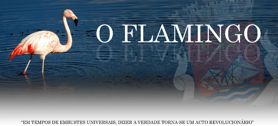 O Flamingo