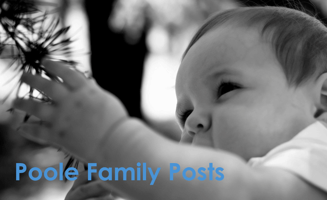 Poole Family Posts