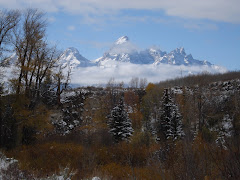 Snow in the Tetons