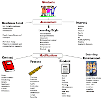 Tomlinson Differentiated Instruction Flow Chart