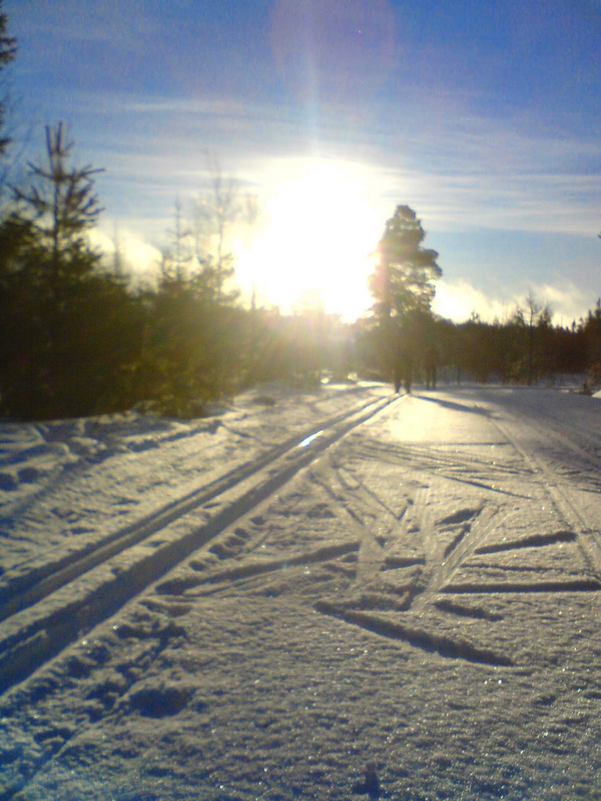 [DSC00066.JPG]