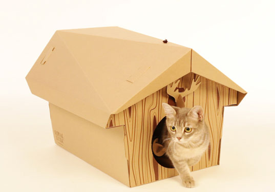 [flatpack.jpg]