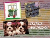 [award2.jpg]