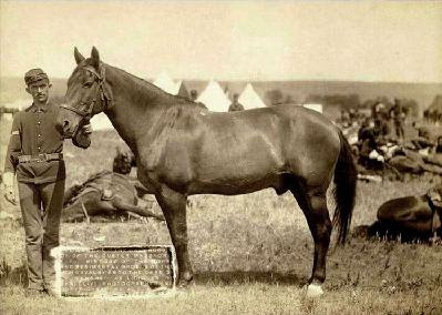 Comanche Comanche