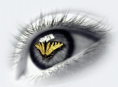 [olhos+de+borboleta.jpg]