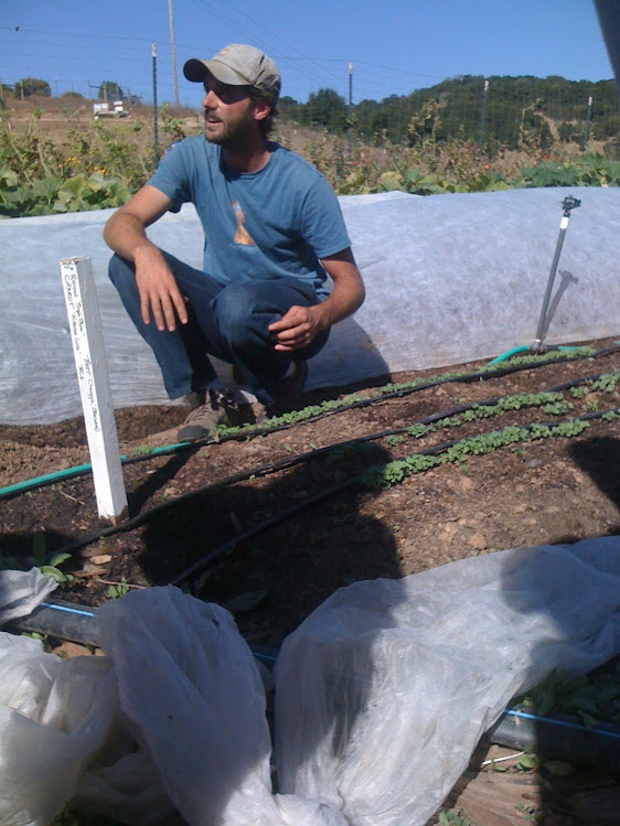 Henry discussing seed spacing and thinning