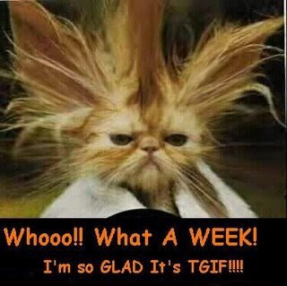 One day closer to the weekend... - Page 14 Tgif