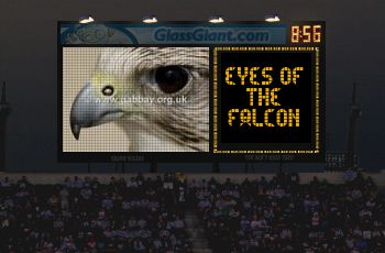 $harpness of Falcon's Eyes
