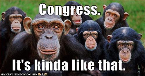 pictures of monkeys with guns. pictures of monkeys with guns. pictures of monkeys with guns.