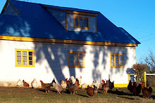 Arquitectura Putemun Castro Isla de Chiloé