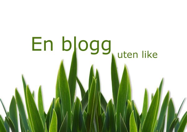 En blogg