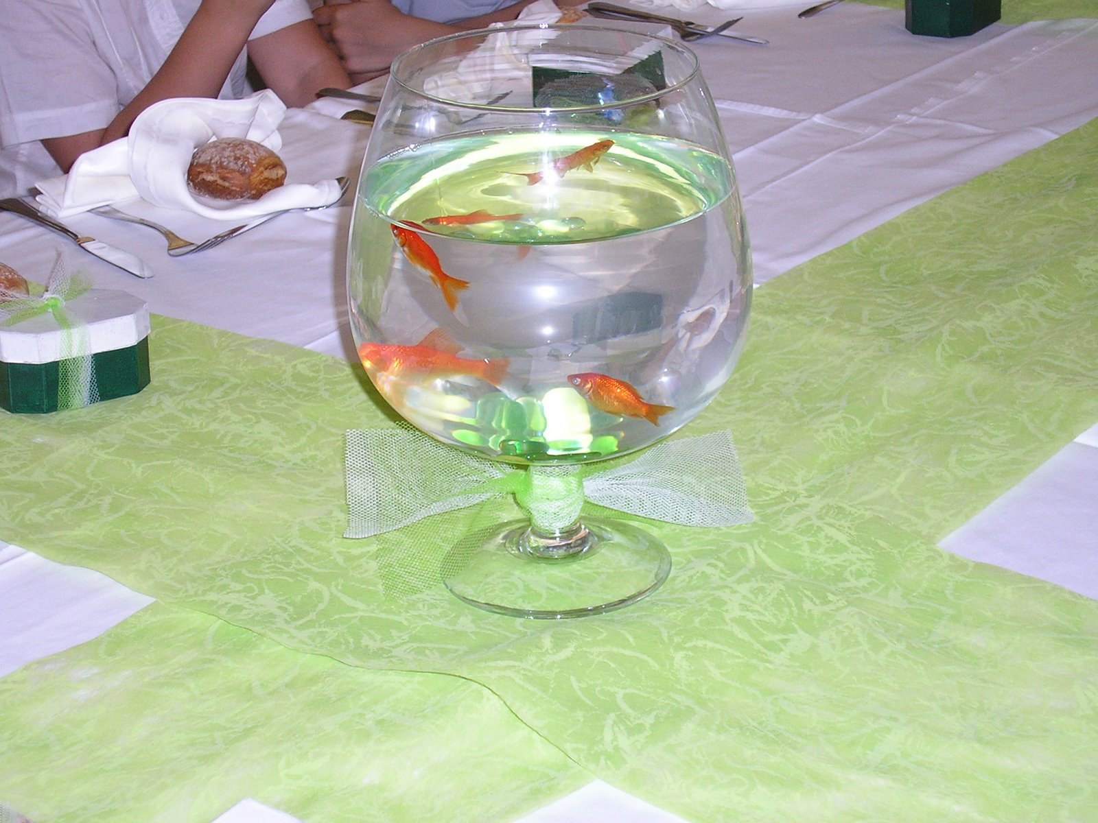 [P7110010.JPG]