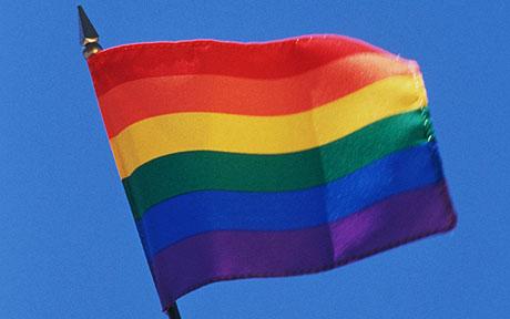 [RainbowFlag.jpg]