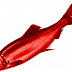 REPOST: It's Time to Play the Catch the Red Herring Game! Liberalism's Favorite Fallacy