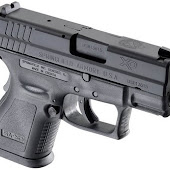 High Court Rules in Favor of Federal Gun Rights