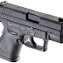 High Court Rules in Favor of Federal Gun Rights
