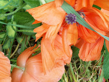 The Garden at Liberty: Janesville Rotary Botanical Gardens