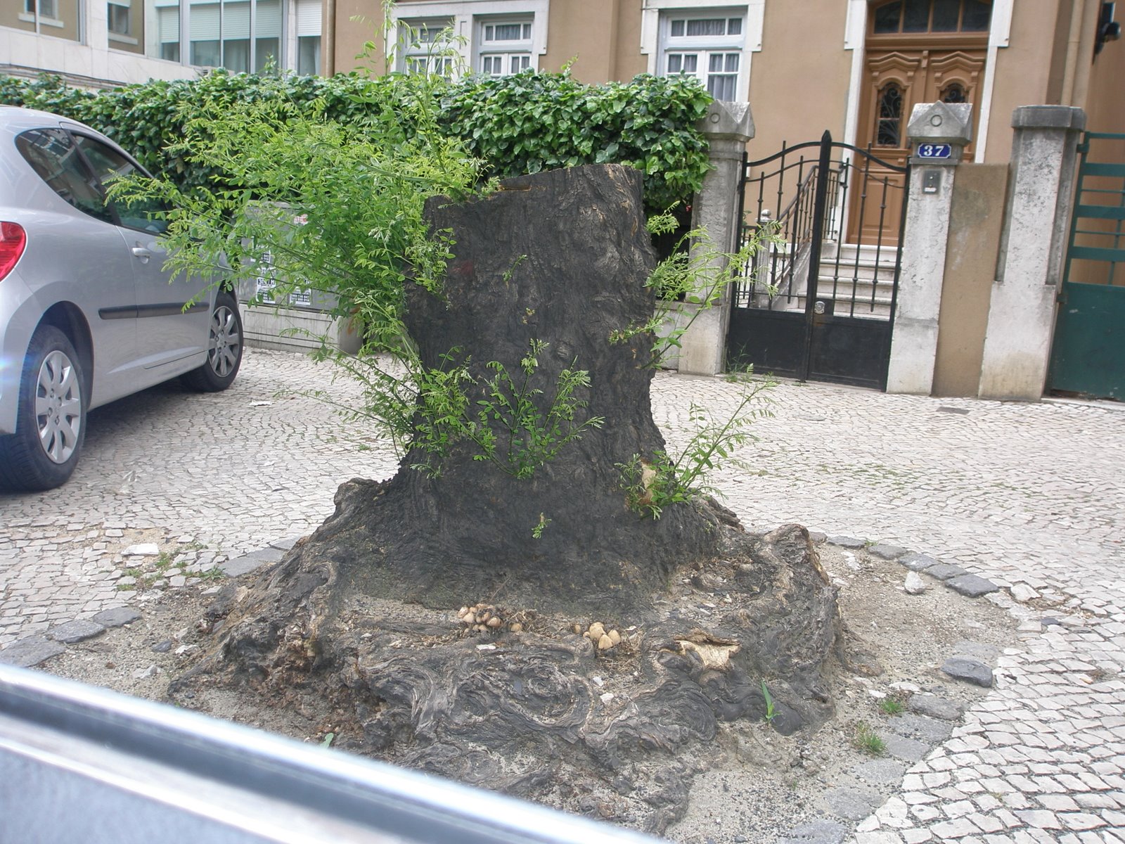 [P4290169.JPG]