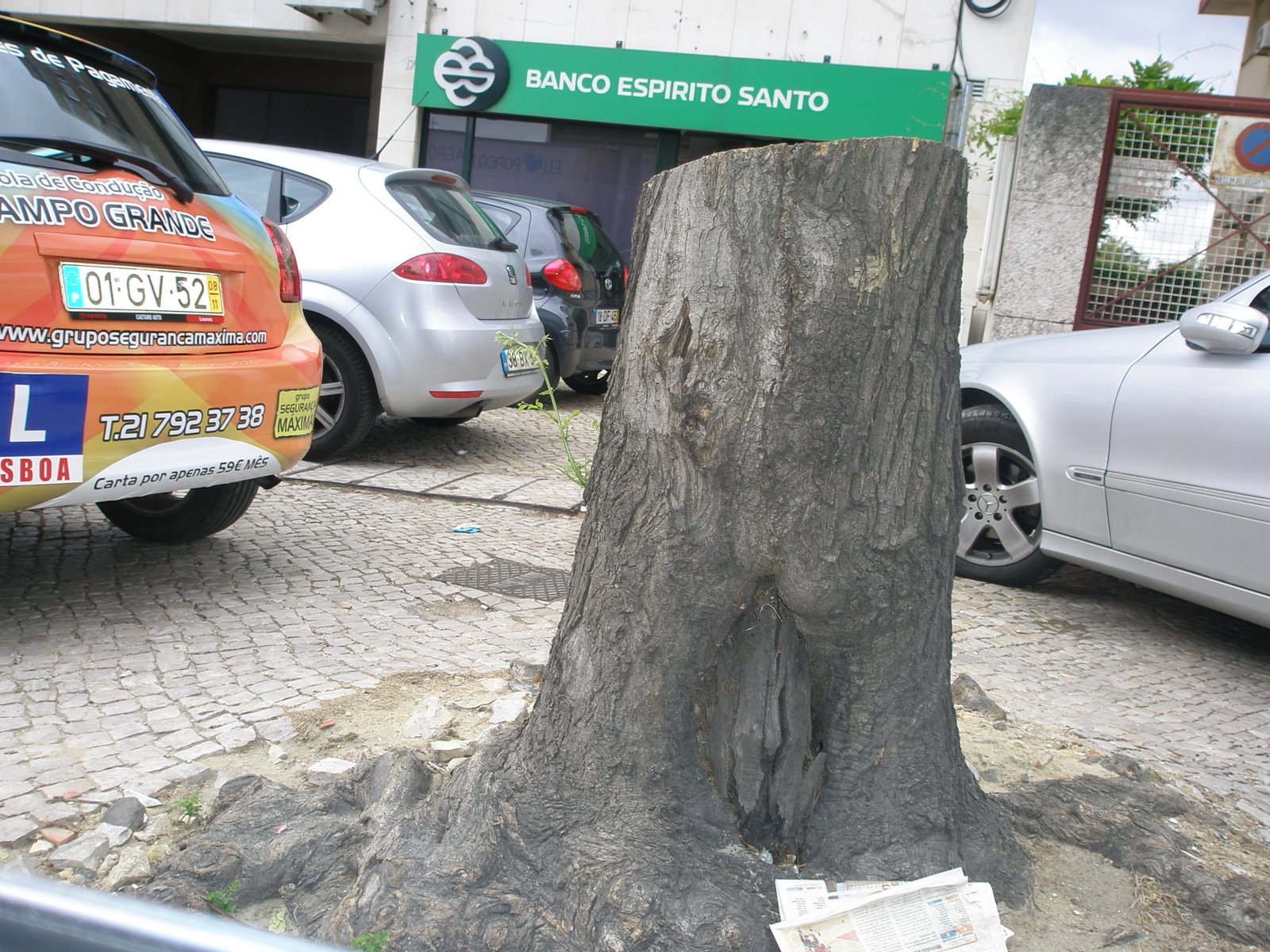 [P4290172.JPG]