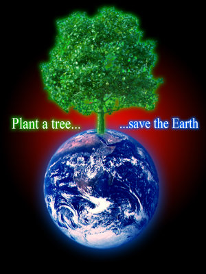 [save+a+tree+1.jpg]