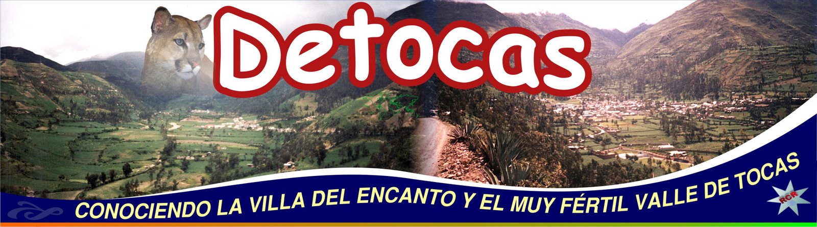 DETOCAS