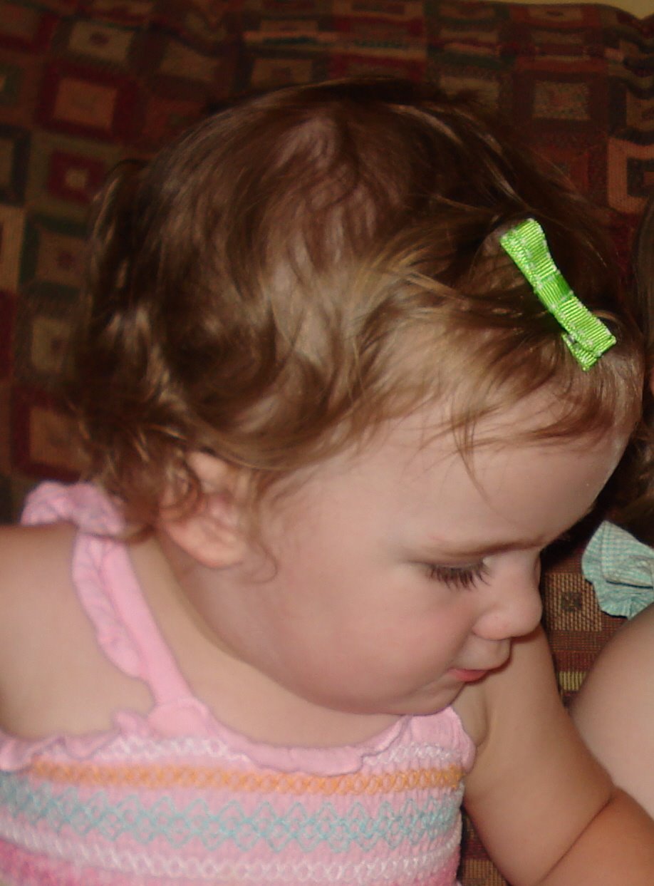 [DSC07987.JPG]