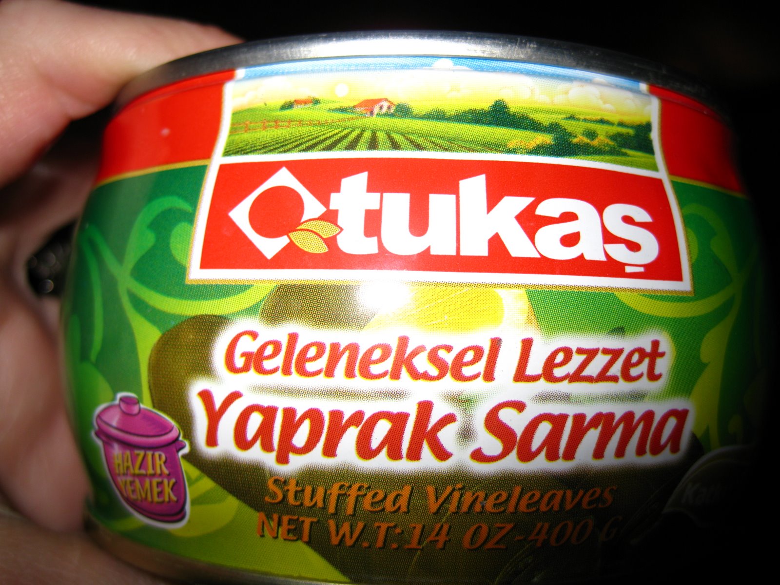 [IMG_4144.JPG]